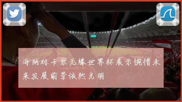 海纳对卡尔无缘世界杯表示惋惜未来发展前景依然光明